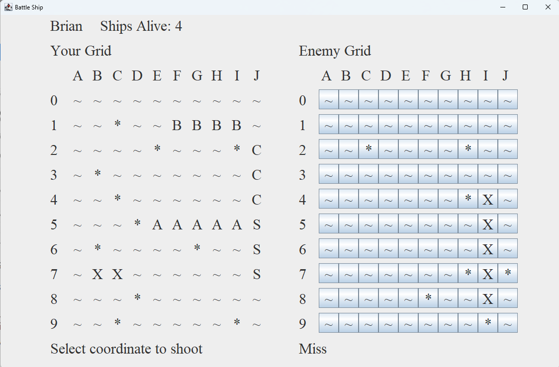 Battle Ship